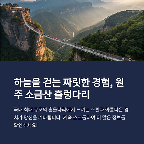 원주 출렁다리 완벽 가이드: 가볼 만한 곳, 맛집, 주차장, 입장료 총정리 ✨