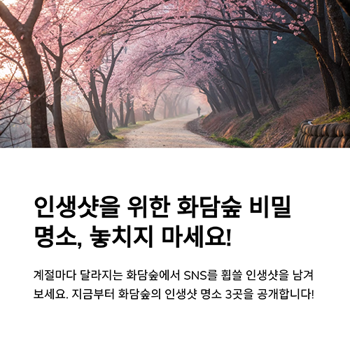 화담숲에서 인생샷 10개 이상 건지기! 베스트 포토 스팟