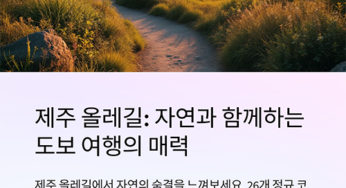 제주 올레길 완벽 가이드: 코스, 소요시간부터 비용까지!