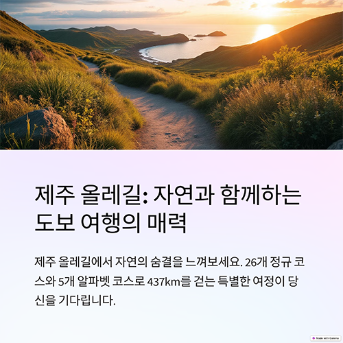 제주 올레길 완벽 가이드: 코스 소요시간부터 비용까지!
