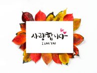 무안사랑상품권 사용처, 혜택, 신청방법까지 총정리 7 무안사랑상품권 사용처, 혜택, 신청방법까지 총정리