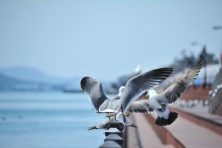 목포사랑상품권 사용처, 혜택, 신청방법까지 총정리 11 목포사랑상품권 사용처, 혜택, 신청방법까지 총정리