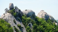 도봉사랑상품권 사용처, 혜택, 신청방법까지 총정리