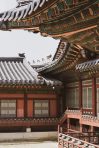관악사랑상품권 사용처, 혜택, 신청방법까지 총정리 6 관악사랑상품권 사용처, 혜택, 신청방법까지 총정리