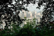 관악사랑상품권 사용처, 혜택, 신청방법까지 총정리 7 관악사랑상품권 사용처, 혜택, 신청방법까지 총정리