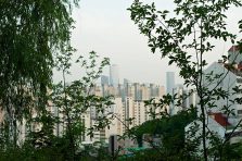 관악사랑상품권 사용처, 혜택, 신청방법까지 총정리 8 관악사랑상품권 사용처, 혜택, 신청방법까지 총정리