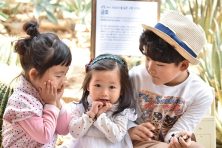 대구 아이조아카드 총정리 14 대구 아이조아카드 총정리