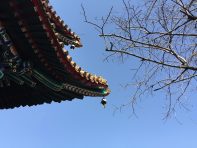 용인와이페이 사용처, 혜택, 신청방법까지 총정리