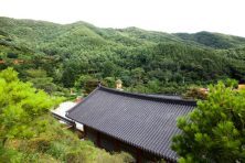 용인와이페이 사용처, 혜택, 신청방법까지 총정리