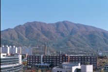 성남사랑상품권 사용처, 혜택, 신청방법까지 총정리 2 성남사랑상품권 사용처, 혜택, 신청방법까지 총정리