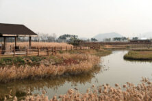 양주사랑카드 사용처 혜택 신청방법까지 총정리 5 양주사랑카드 사용처 혜택 신청방법까지 총정리