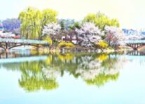 경기이천사랑 지역화폐 사용처 혜택 신청방법 총정리 10 경기이천사랑 지역화폐 사용처 혜택 신청방법 총정리