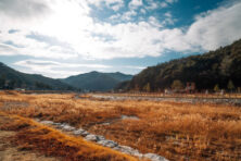 진천사랑상품권 사용처 신청방법 총정리