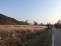 진천사랑상품권 사용처 신청방법 총정리