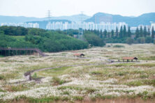 진천사랑상품권 사용처 신청방법 총정리
