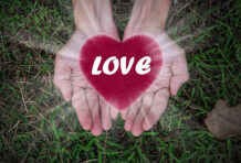 경북참사랑카드 총정리