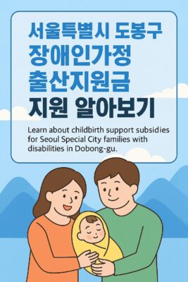 서울특별시 도봉구 장애인가정 출산지원금 지원 알아보기