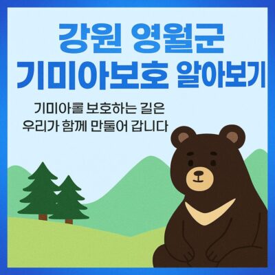 강원 영월군 기미아보호 알아보기
