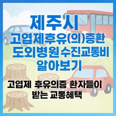 제주시 고엽제후유(의)증환자 도외병원 수진교통비 알아보기