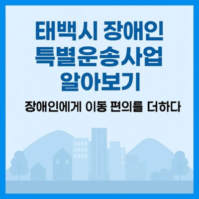 태백시 장애인 특별운송사업 알아보기