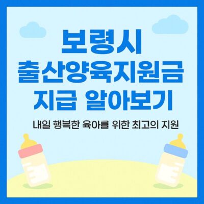 보령시 출산양육지원금 지급 알아보기