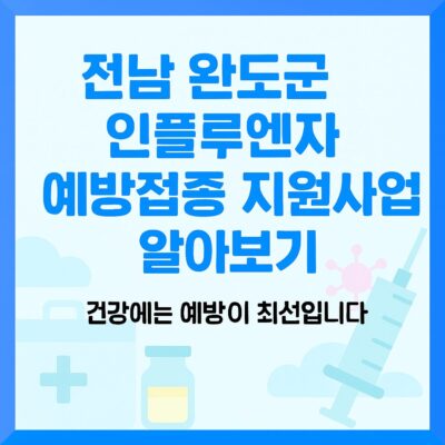전남 완도군 인플루엔자 예방접종 지원사업 알아보기