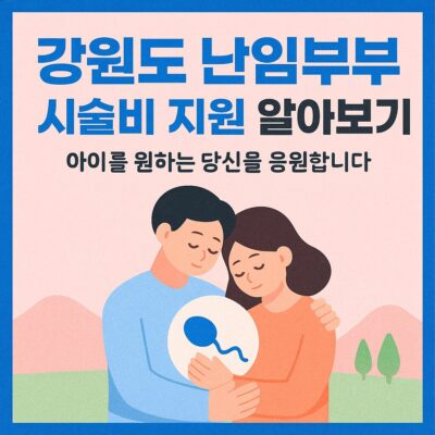 강원도 난임부부 시술비 지원 알아보기