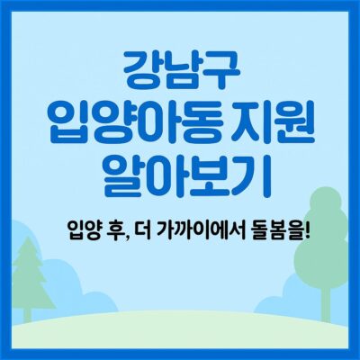 강남구 입양아동 지원 알아보기