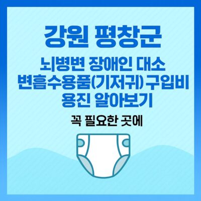 강원 평창군 뇌병변 장애인 대소변흡수용품(기저귀) 구입비용 지원 알아보기