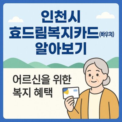인천시 효드림복지카드(바우처) 알아보기