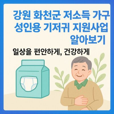 강원 화천군 저소득 가구 성인용 기저귀 지원사업 알아보기