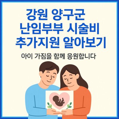 강원 양구군 난임부부 시술비 추가지원 알아보기