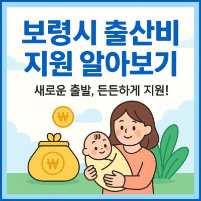 보령시 출산비 지원 알아보기
