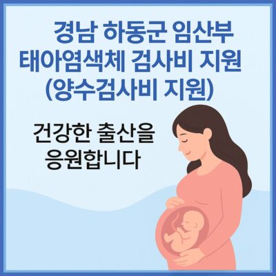경남 하동군 임산부 태아염색체 검사비 지원(양수검사비 지원) 알아보기