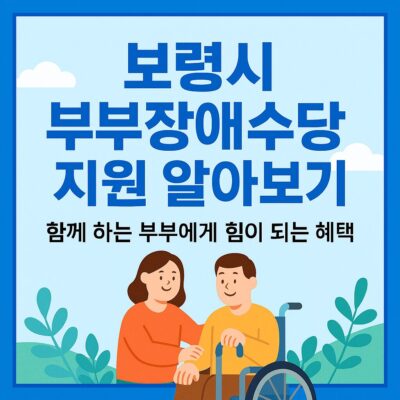보령시 부부장애수당 지원 알아보기