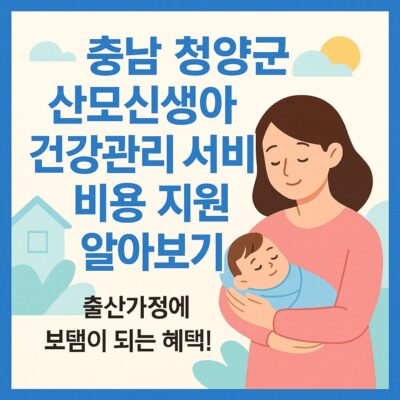 충남 청양군 산모신생아 건강관리 서비스 비용 지원 알아보기