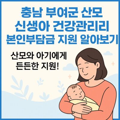충남 부여군 산모 신생아 건강관리 본인부담금 지원 알아보기