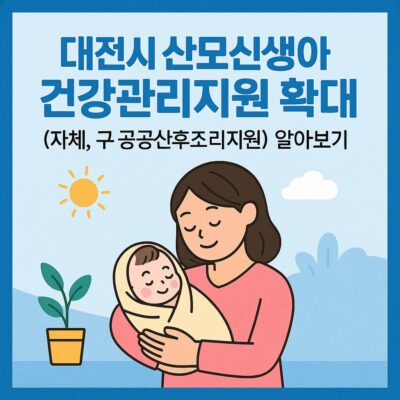 대전시 산모신생아 건강관리지원 확대(자체, 구 공공산후조리지원) 알아보기