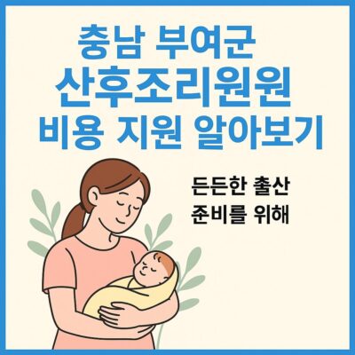 충남 부여군 산후조리(원) 비용 지원 알아보기