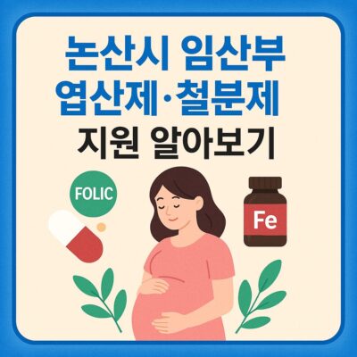 논산시 임산부 엽산제_철분제 지원 알아보기
