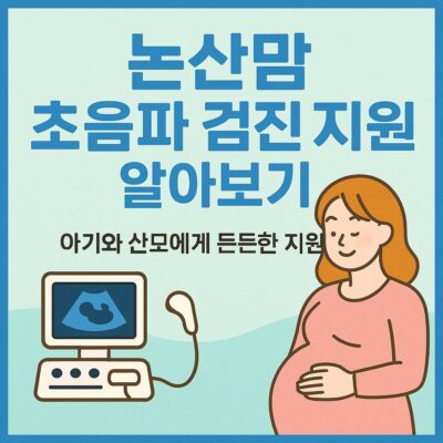 논산맘 초음파 검진 지원사업 알아보기